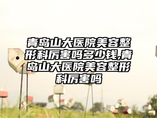 青岛山大医院美容整形科厉害吗多少钱,青岛山大医院美容整形科厉害吗