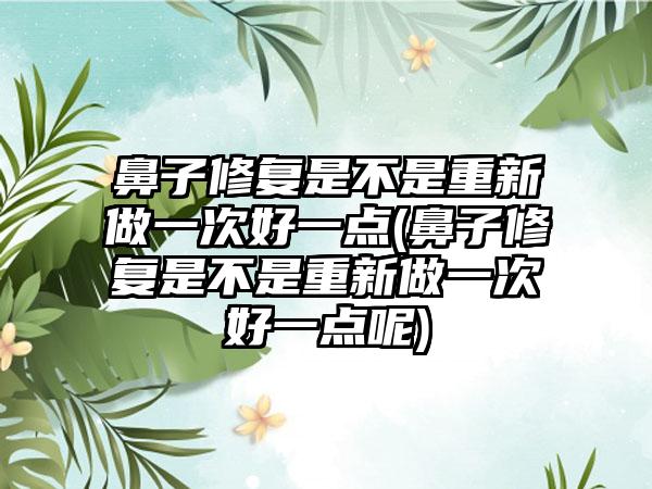 鼻子修复是不是重新做一次好一点(鼻子修复是不是重新做一次好一点呢)