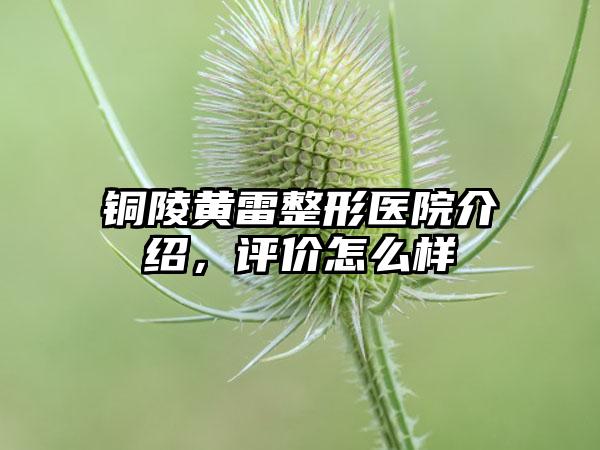 铜陵黄雷整形医院介绍，评价怎么样