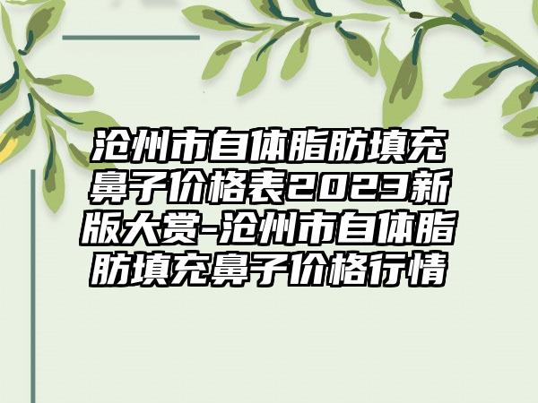 沧州市自体脂肪填充鼻子价格表2023新版大赏-沧州市自体脂肪填充鼻子价格行情