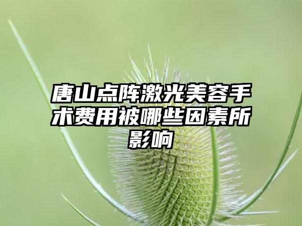 唐山点阵激光美容手术费用被哪些因素所影响