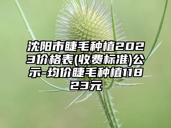 沈阳市睫毛种植2023价格表(收费标准)公示-均价睫毛种植11823元