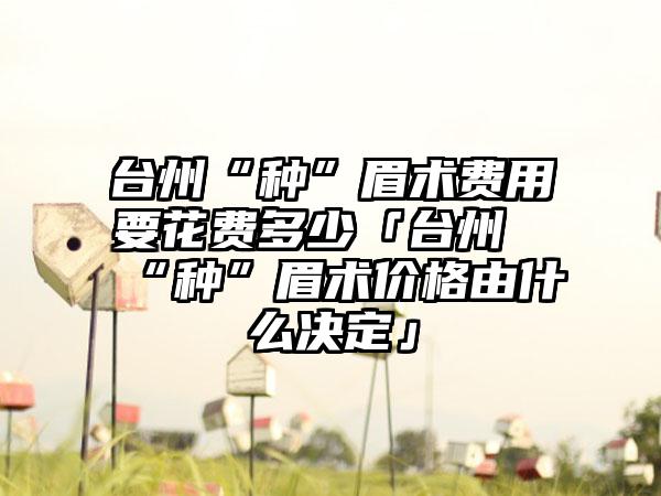 台州“种”眉术费用要花费多少「台州“种”眉术价格由什么决定」