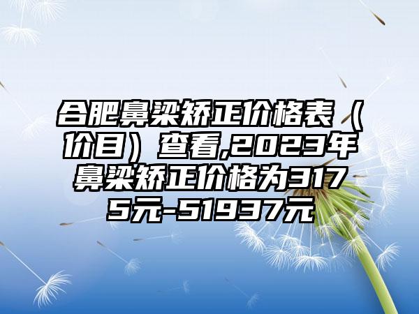 合肥鼻梁矫正价格表（价目）查看,2023年鼻梁矫正价格为3175元-51937元