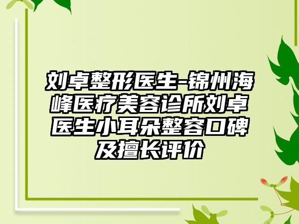 刘卓整形医生-锦州海峰医疗美容诊所刘卓医生小耳朵整容口碑及擅长评价