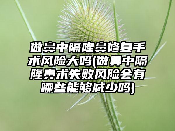 做鼻中隔隆鼻修复手术风险大吗(做鼻中隔隆鼻术失败风险会有哪些能够减少吗)