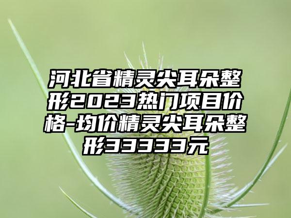 河北省精灵尖耳朵整形2023热门项目价格-均价精灵尖耳朵整形33333元