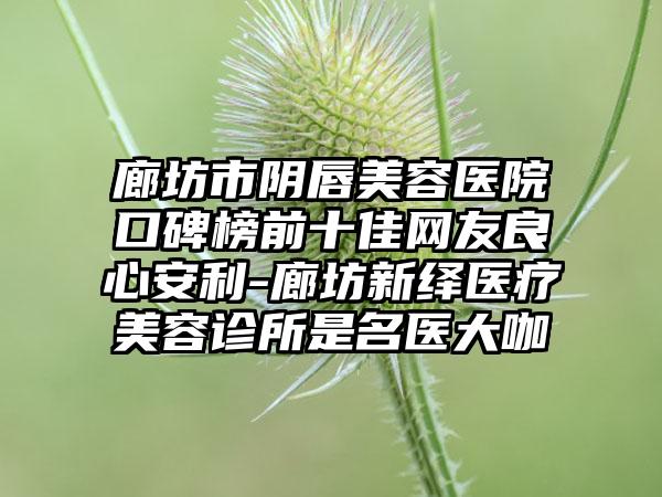 廊坊市阴唇美容医院口碑榜前十佳网友良心安利-廊坊新绎医疗美容诊所是名医大咖