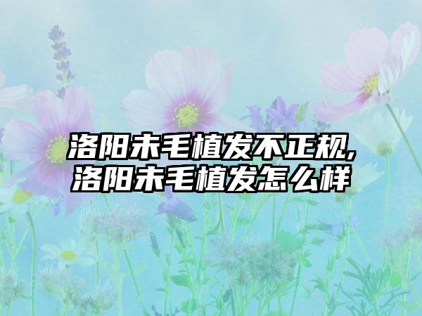 洛阳未毛植发不正规,洛阳未毛植发怎么样