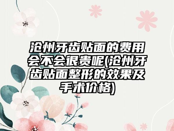 沧州牙齿贴面的费用会不会很贵呢(沧州牙齿贴面整形的成果及手术价格)