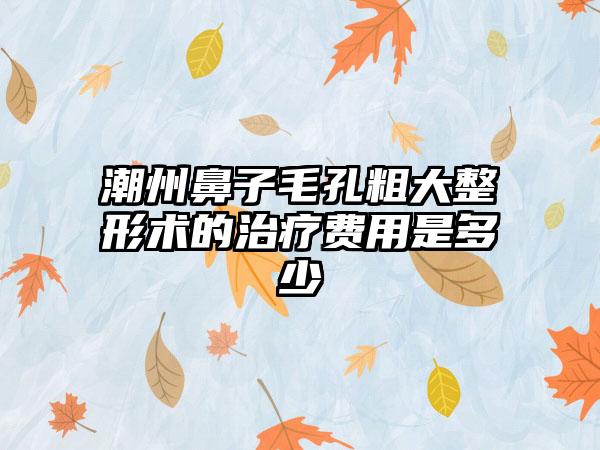 潮州鼻子毛孔粗大整形术的治疗费用是多少