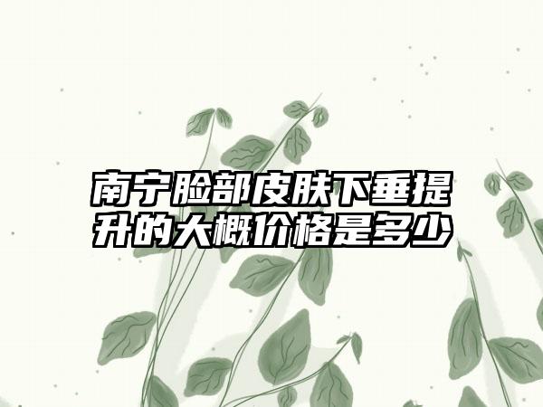 南宁脸部皮肤下垂提升的大概价格是多少