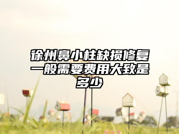 徐州鼻小柱缺损修复一般需要费用大致是多少