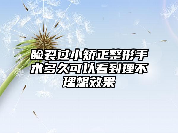 睑裂过小矫正整形手术多久可以看到理不理想成果