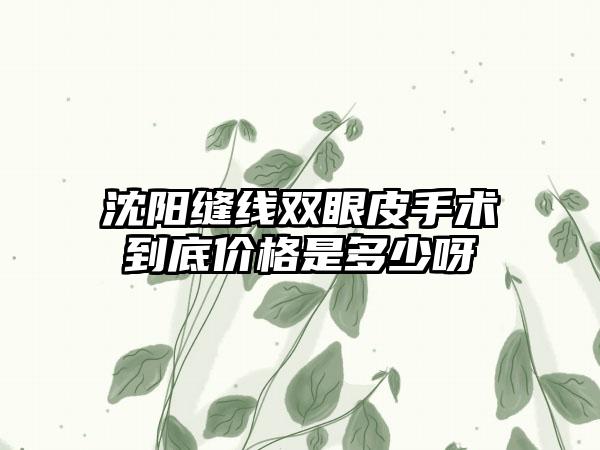 沈阳缝线双眼皮手术到底价格是多少呀