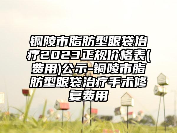 铜陵市脂肪型眼袋治疗2023正规价格表(费用)公示-铜陵市脂肪型眼袋治疗手术修复费用