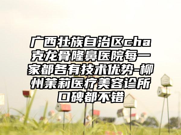 广西壮族自治区cha克龙骨隆鼻医院每一家都各有技术优势-柳州茉莉医疗美容诊所口碑都不错