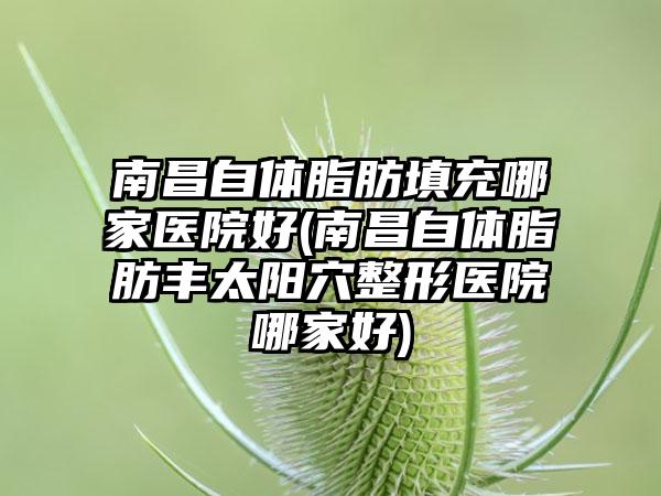 南昌自体脂肪填充哪家医院好(南昌自体脂肪丰太阳穴整形医院哪家好)