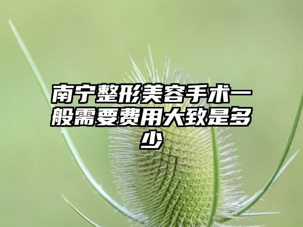 南宁整形美容手术一般需要费用大致是多少