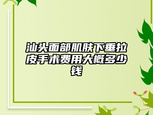 汕头面部肌肤下垂拉皮手术费用大概多少钱