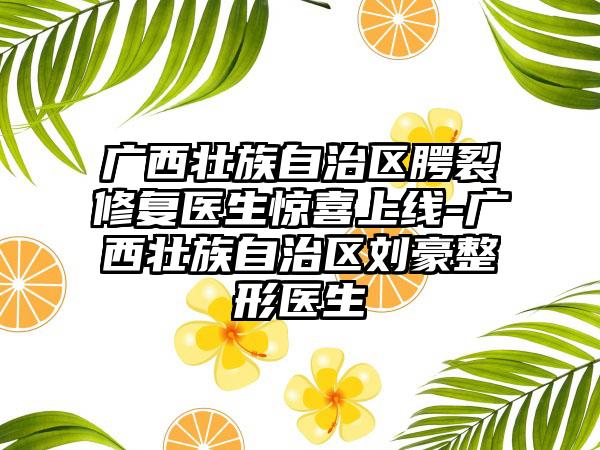 广西壮族自治区腭裂修复医生惊喜上线-广西壮族自治区刘豪整形医生