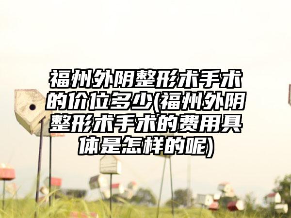 福州外阴整形术手术的价位多少(福州外阴整形术手术的费用具体是怎样的呢)