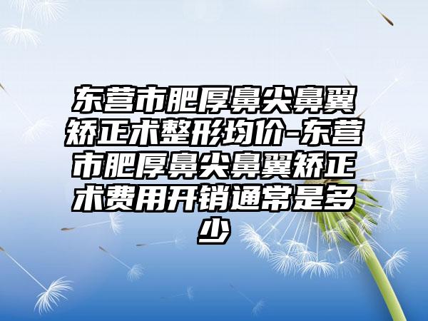 东营市肥厚鼻尖鼻翼矫正术整形均价-东营市肥厚鼻尖鼻翼矫正术费用开销通常是多少