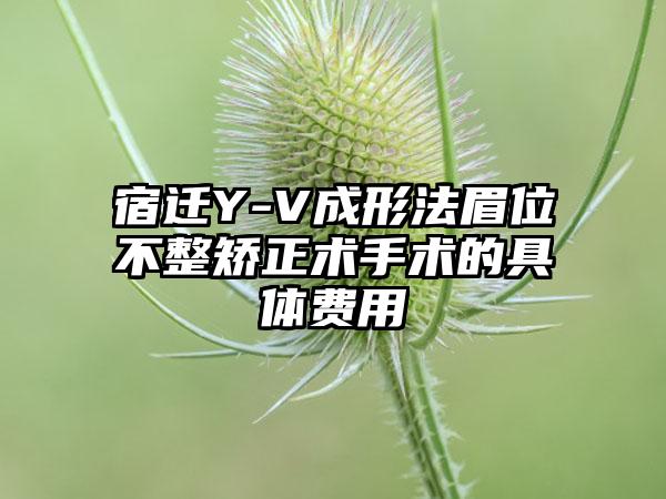 宿迁Y-V成形法眉位不整矫正术手术的具体费用