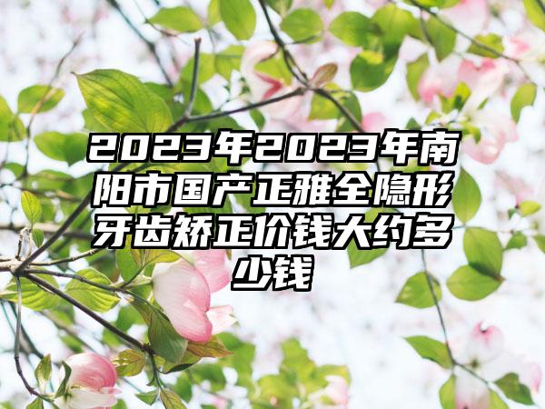 2023年2023年南阳市国产正雅全隐形牙齿矫正价钱大约多少钱