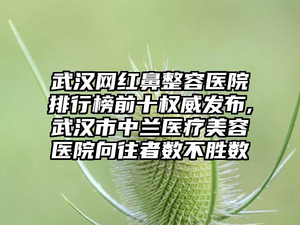 武汉网红鼻整容医院排行榜前十权威发布,武汉市中兰医疗美容医院向往者数不胜数