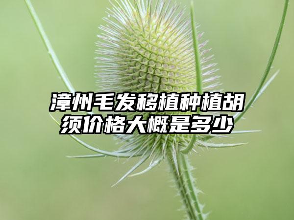 漳州毛发移植种植胡须价格大概是多少