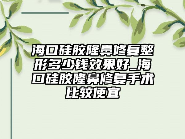 海口硅胶隆鼻修复整形多少钱成果好_海口硅胶隆鼻修复手术比较便宜