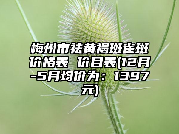 梅州市祛黄褐斑雀斑价格表 价目表(12月-5月均价为：1397元)