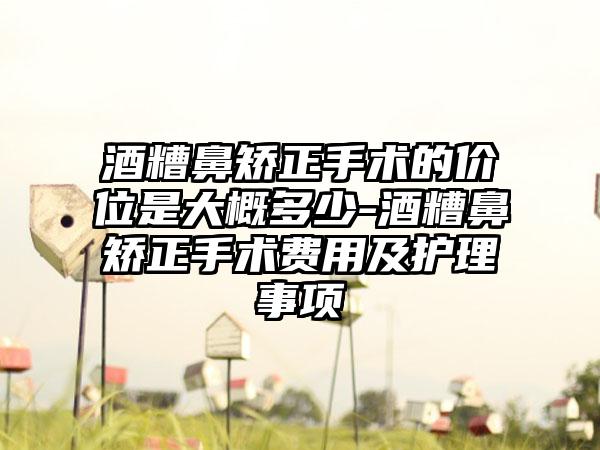 酒糟鼻矫正手术的价位是大概多少-酒糟鼻矫正手术费用及护理事项