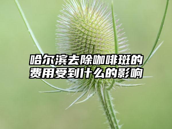 哈尔滨去除咖啡斑的费用受到什么的影响