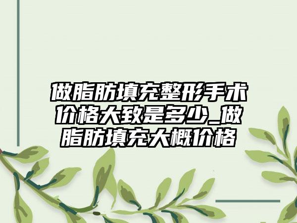 做脂肪填充整形手术价格大致是多少_做脂肪填充大概价格