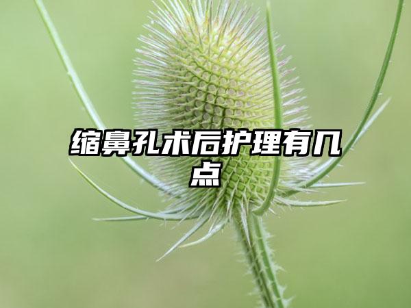 缩鼻孔术后护理有几点