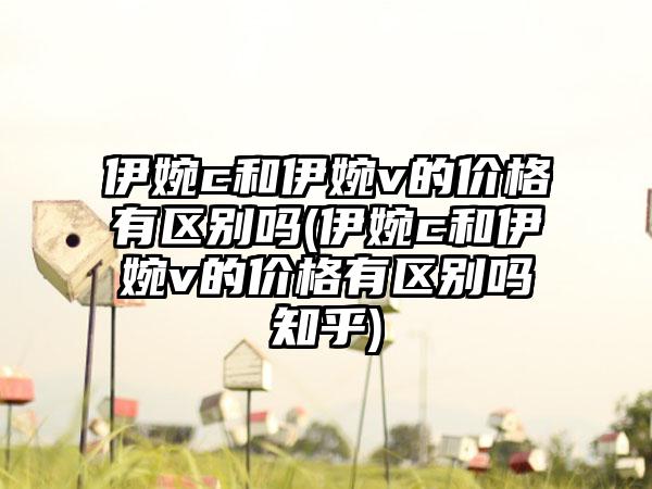 伊婉c和伊婉v的价格有区别吗(伊婉c和伊婉v的价格有区别吗知乎)