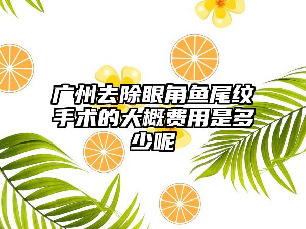 广州去除眼角鱼尾纹手术的大概费用是多少呢