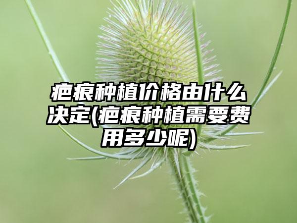 疤痕种植价格由什么决定(疤痕种植需要费用多少呢)