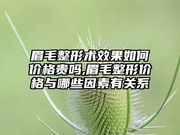 眉毛整形术成果如何价格贵吗,眉毛整形价格与哪些因素有关系