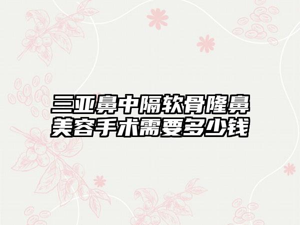 三亚鼻中隔软骨隆鼻美容手术需要多少钱