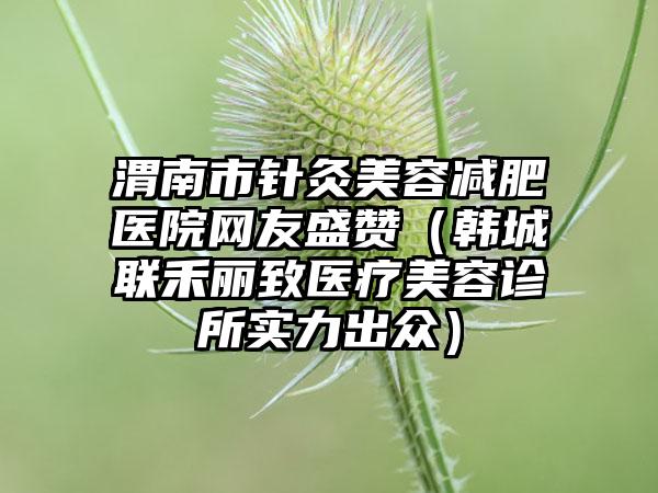 渭南市针灸美容减肥医院网友盛赞（韩城联禾丽致医疗美容诊所实力出众）