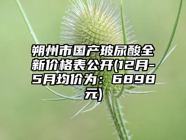 朔州市国产玻尿酸全新价格表公开(12月-5月均价为：6898元)