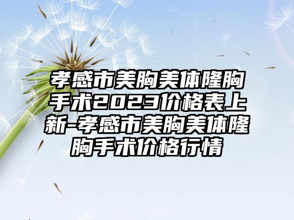 孝感市美胸美体隆胸手术2023价格表上新-孝感市美胸美体隆胸手术价格行情