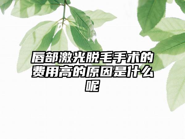 唇部激光脱毛手术的费用高的原因是什么呢