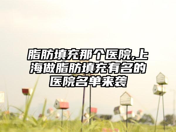 脂肪填充那个医院,上海做脂肪填充有名的医院名单来袭