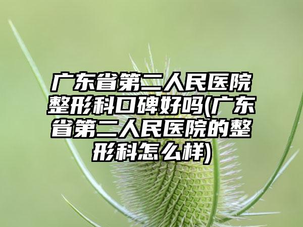 广东省第二人民医院整形科口碑好吗(广东省第二人民医院的整形科怎么样)