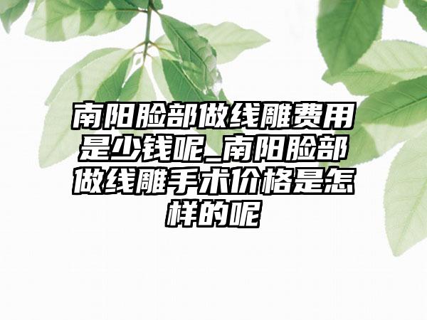 南阳脸部做线雕费用是少钱呢_南阳脸部做线雕手术价格是怎样的呢