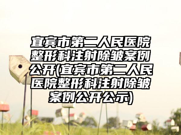 宜宾市第二人民医院整形科注射除皱实例公开(宜宾市第二人民医院整形科注射除皱实例公开公示)